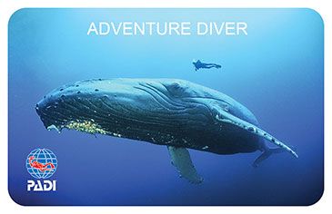 PADI ADVANCED ADVENTURES
