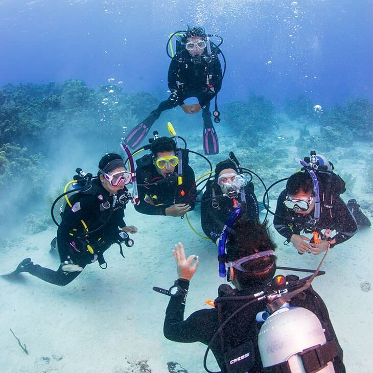 Curso Open Water Diver PADI – Certificación Internacional