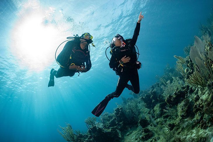 Curso Open Water Diver PADI – Certificación Internacional