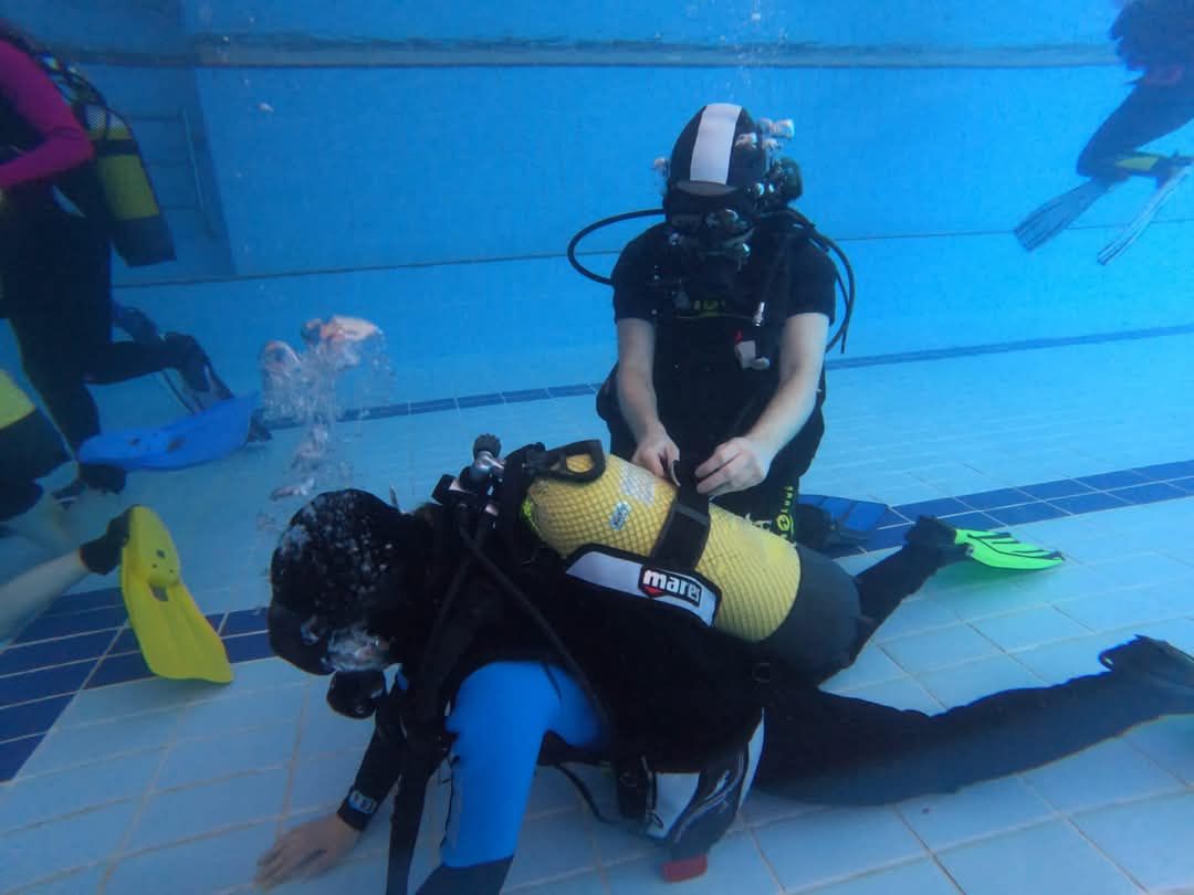 CURSO PADI OPEN WATER DIVER – CERTIFICACIÓN INTERNACIONAL UNA PERSONA - Imagen 9