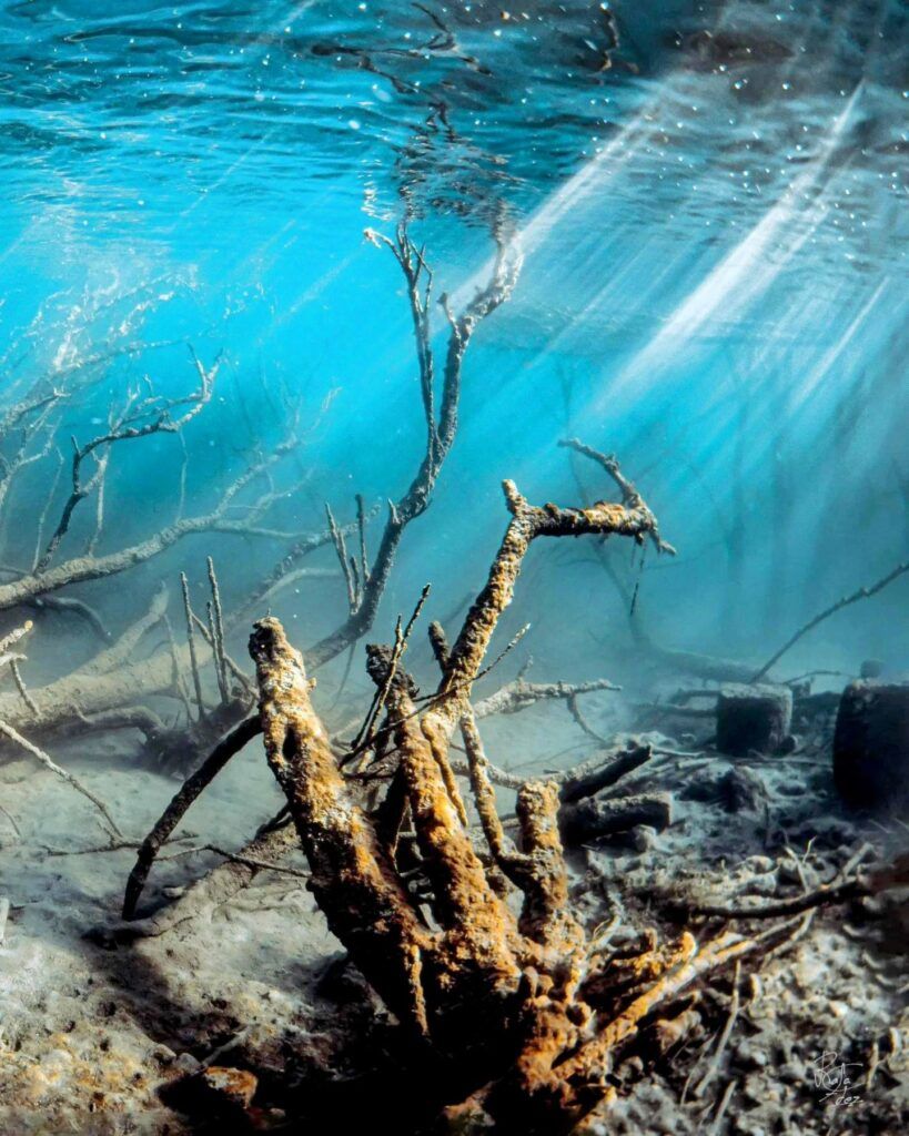 BUCEO MADRID LAGUNAS RUIDERA