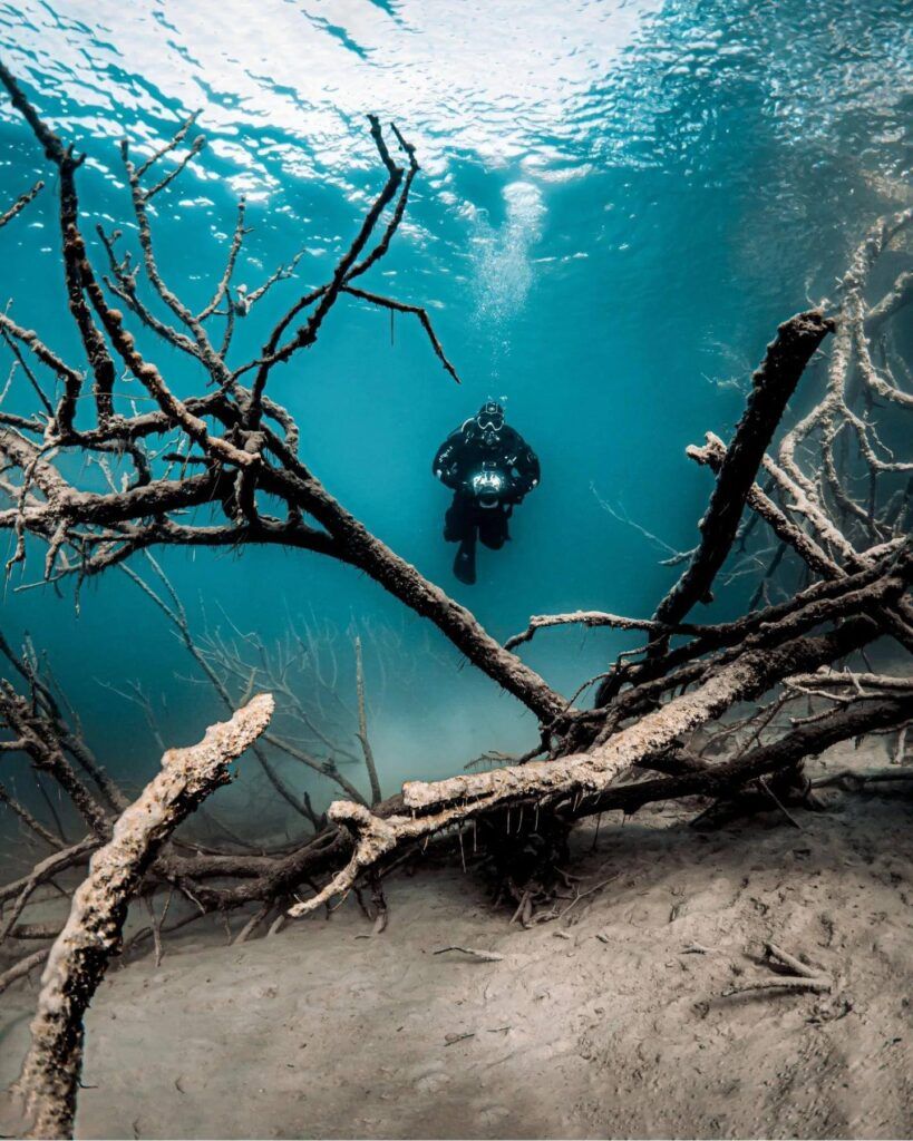 BUCEO EN LAGUNAS RUIDERA