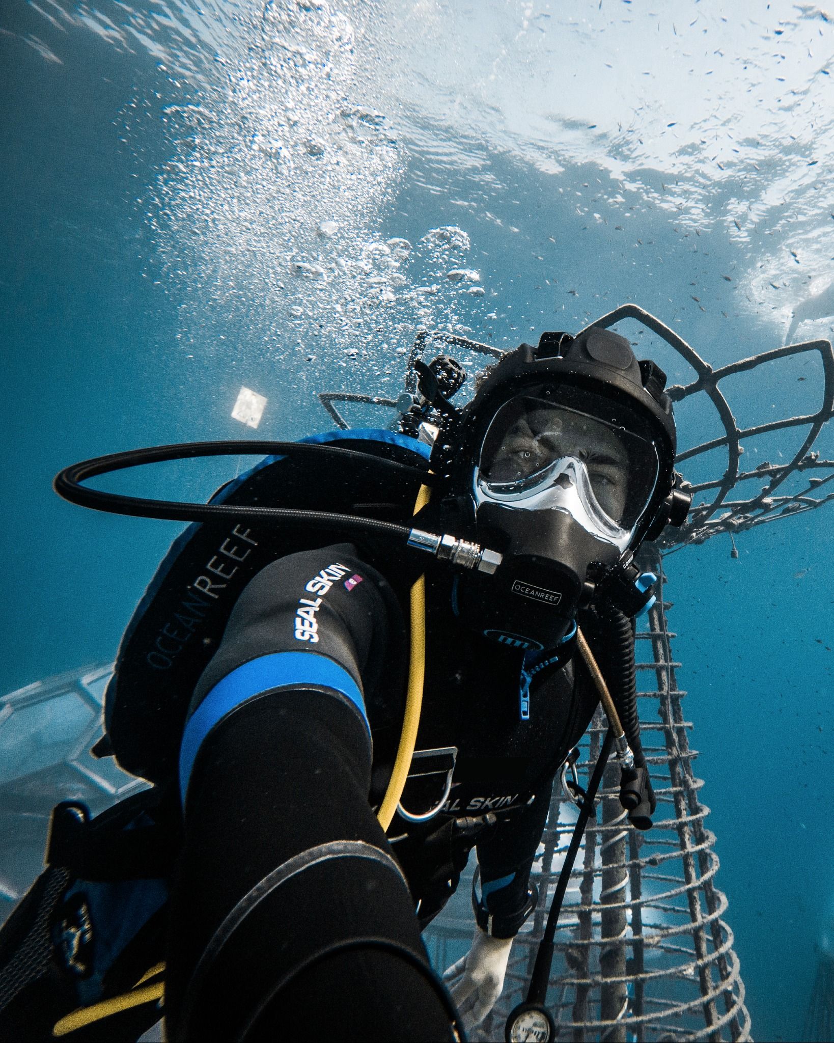 PADI DIVEMADRID BUCEO MADRID