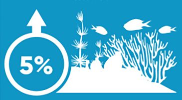 PADI Dive Against Debris