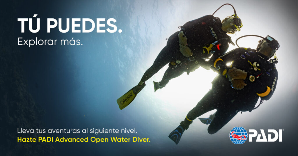 BUCEO MADRID