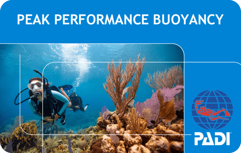 PADI CURSO BUCEO MADRID