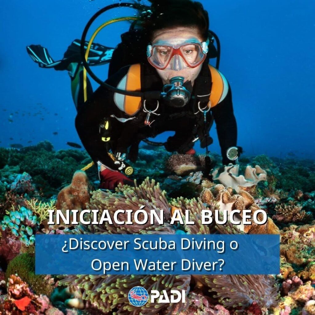 BUCEO MADRID
