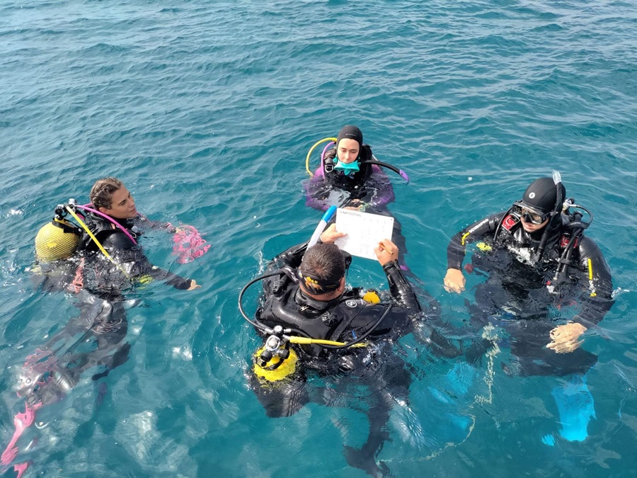 Conviértete en Instructor