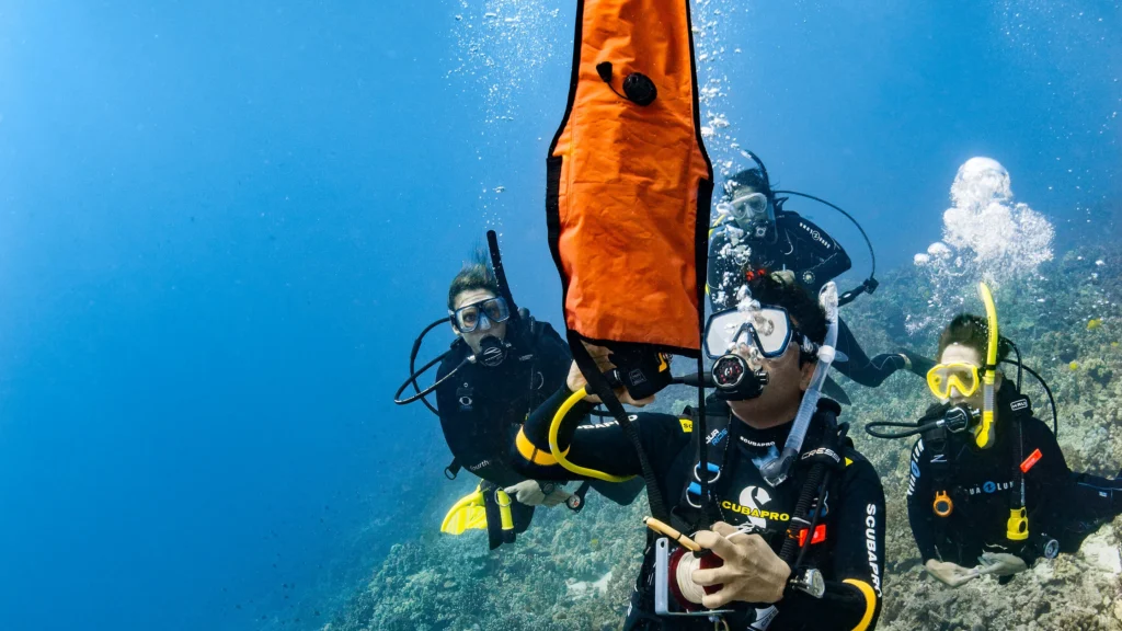 BUCEO MADRID CURSO OPEN WATER DIVER