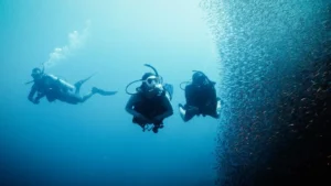 CURSO PADI OPEN WATER DIVER MADRID